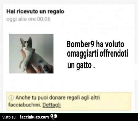 Vaccata