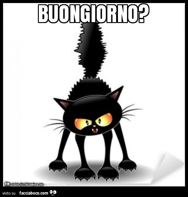 Buongiorno?