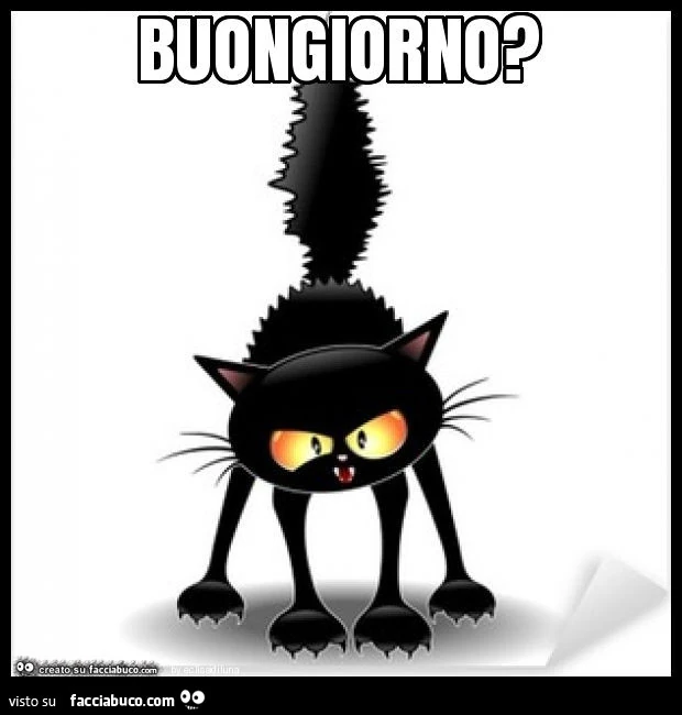 Buongiorno?
