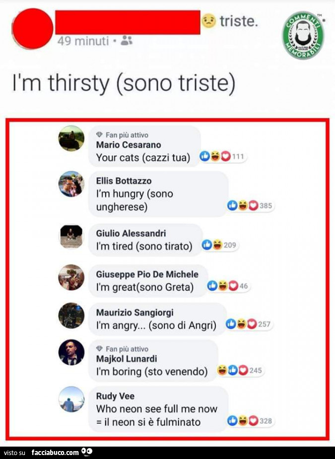 I am thirsty (sono triste). Your cats (cazzi tua)