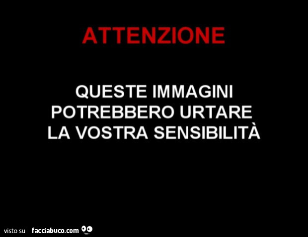 Attenzione queste immagini potrebbero urtare la vostra sensibilità