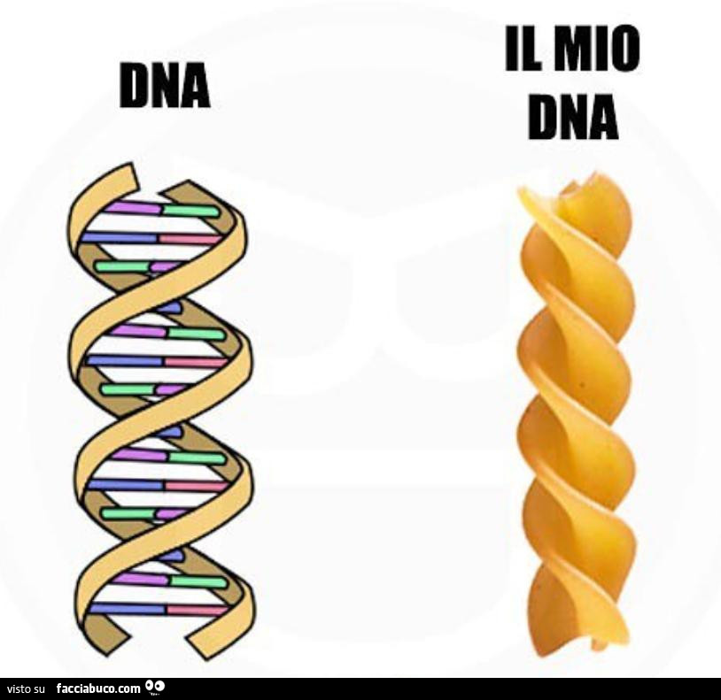 DNA. Il mio DNA