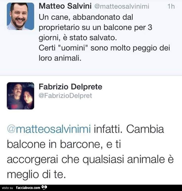 Un cane, abbandonato dal proprietario su un balcone per 3 giorni, è stato salvato. Infatti. Cambia balcone in barcone, e ti accorgerai che qualsiasi animale è meglio di te