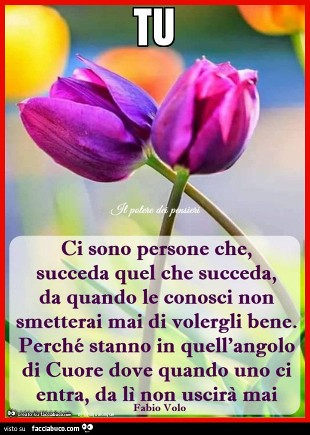 Tu. Ci sono persone che, succeda quel che succeda, da quando le conosci non smetterai mai di volergli bene. Perché stanno in quell'angolo di cuore dove quando uno ci entra, da lì non uscirà mai