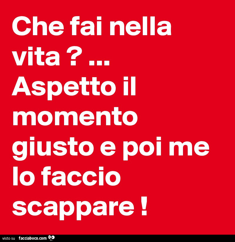 Che fai nella vita? Aspetto il momento giusto e poi me lo faccio scappare