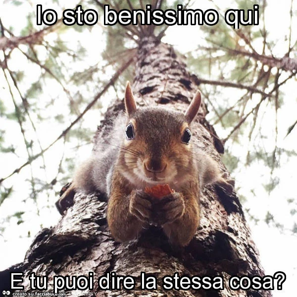 Io sto benissimo qui e tu puoi dire la stessa cosa?