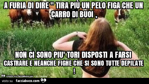 A furia di dire " tira più un pelo figa che un carro di buoi, non ci sono più tori disposti a farsi castrare e neanche fighe che si sono tutte depilate