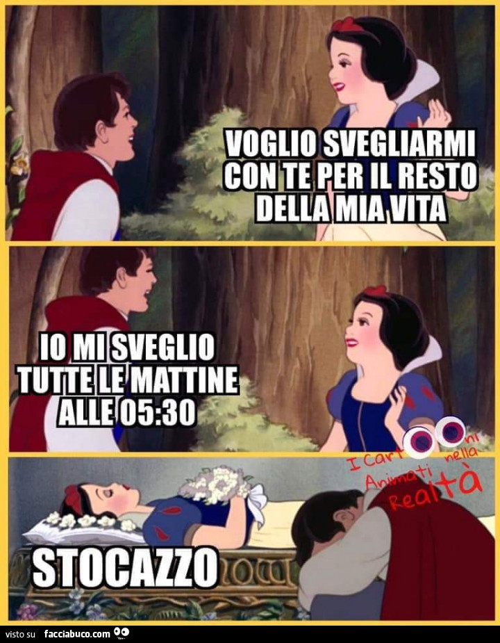 Voglio svegliarmi con te per il resto della mia vita. Io mi sveglio tutte le mattine alle 5: 30. Stocazzo