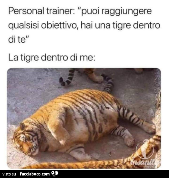 Personal trainer: puoi raggiungere qualsiasi obiettivo, hai una tigre dentro di te. La tigre dentro di me