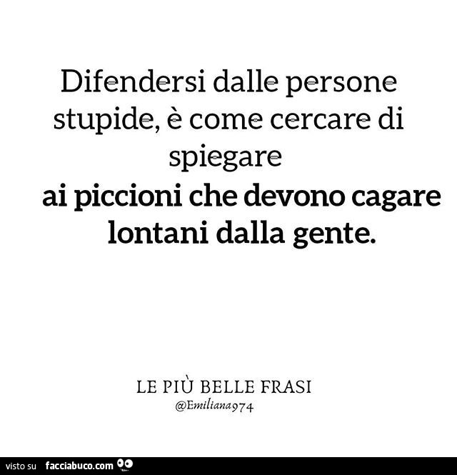 Difendersi dalle persone stupide, è come cercare di spiegare ai piccioni che devono cagare lontani dalla gente