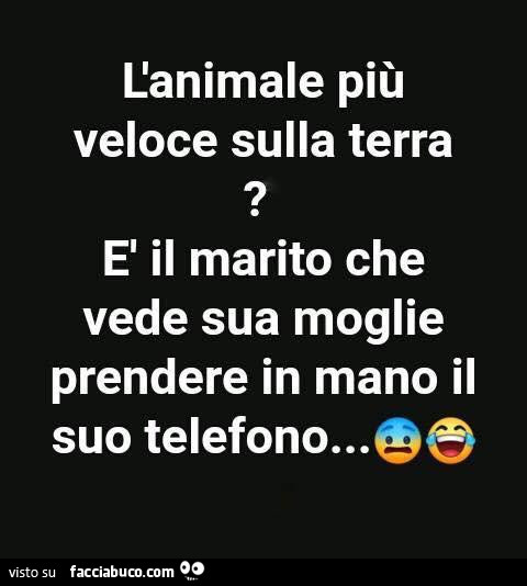 L'animale più veloce sulla terra? È Il marito che vede sua moglie prendere in mano il suo telefono