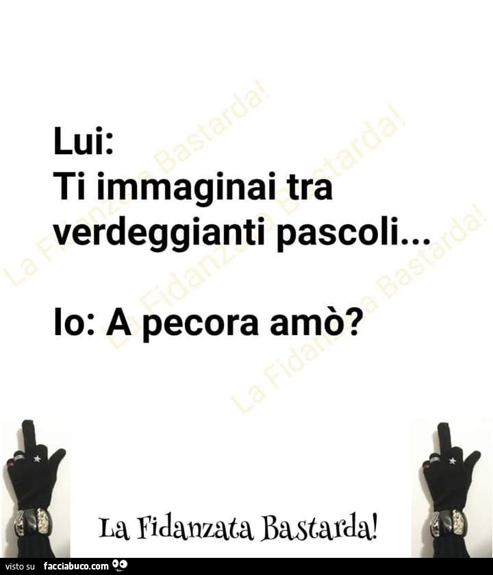 Lui: ti immaginai tra verdeggianti pascoli… io: a pecora amò?