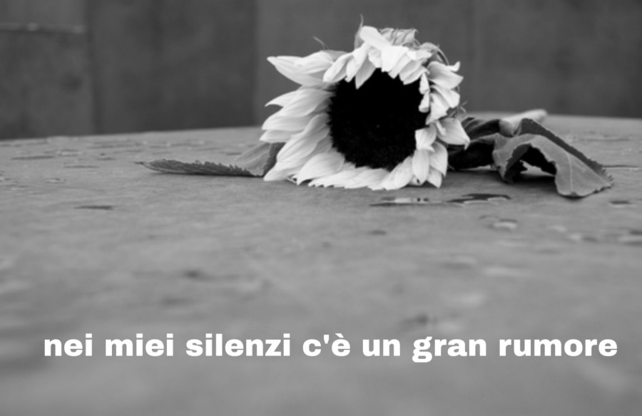 Nei miei silenzi c'è un gran rumore