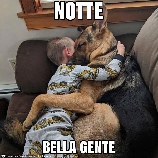 Notte bella gente