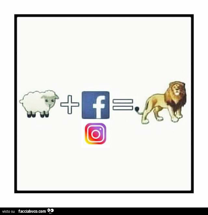 Pecora più facebook o instagram uguale leone