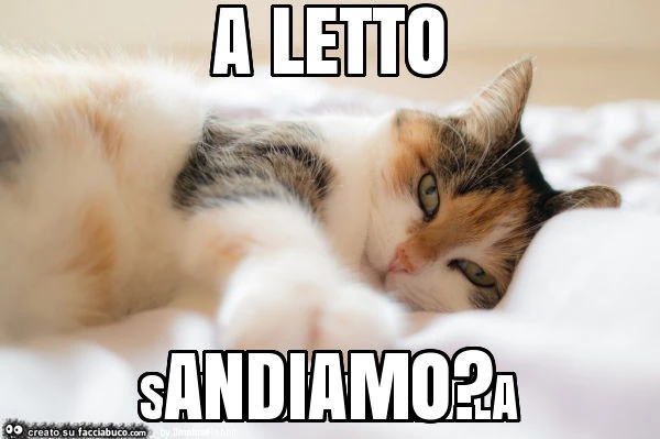 Andiamo?