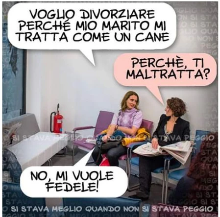 Voglio divorziare perché mio marito mi tratta come un cane ti maltratta nonmi vuole fedele