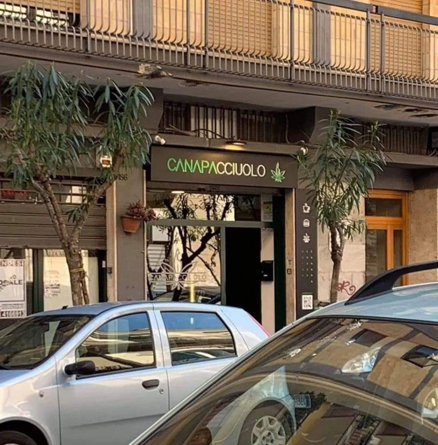 Vaccata