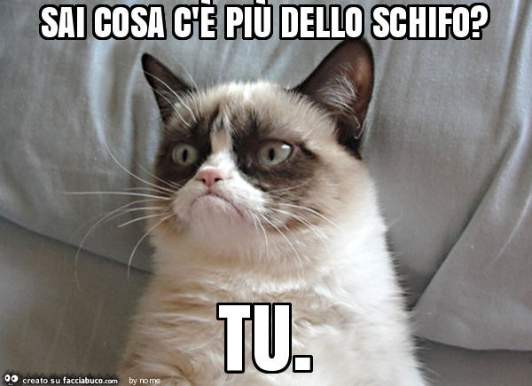 Sai cosa c'è più dello schifo? Tu