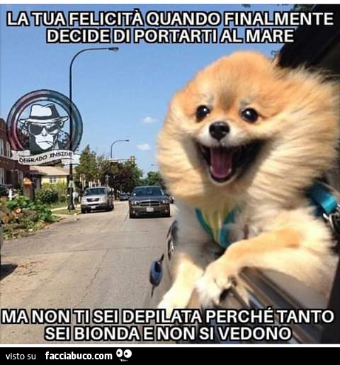 La tua felicità quando finalmente decide di portarti al mare ma mon ti sei depilata