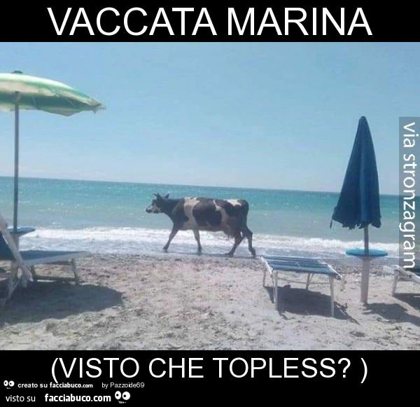 Vaccata marina (visto che topless? )