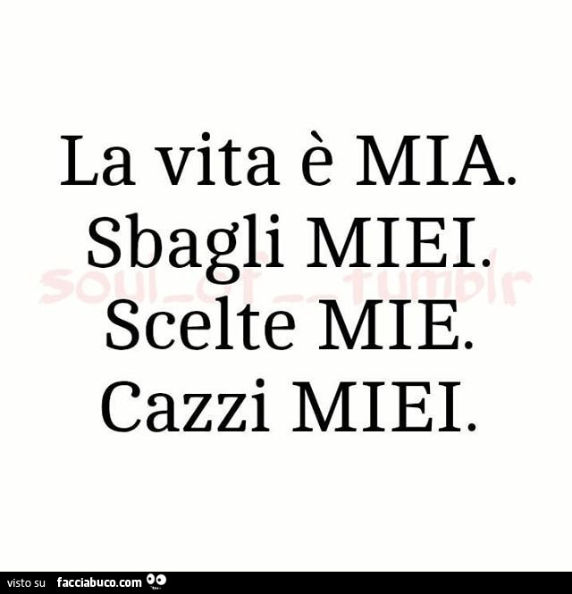 La vita è mia. Sbagli miei. Scelte mie. Cazzi miei