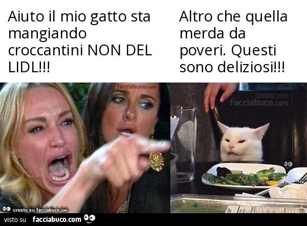 Aiuto il mio gatto sta mangiando croccantini non del lidl! . Altro che quella merda da poveri. Questi sono deliziosi