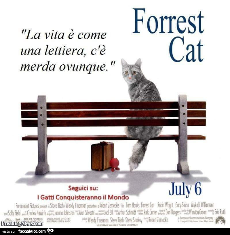 La vita è come una lettiera, c'è merda ovunque. Forrest Cat
