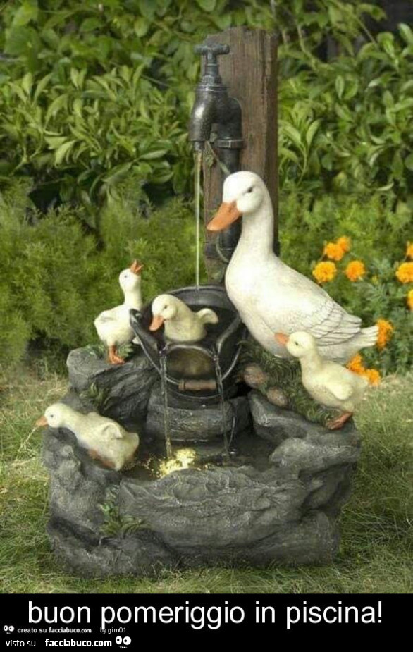 Buon pomeriggio in piscina
