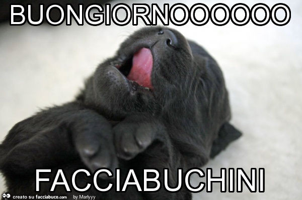 Buongiornoooooo facciabuchini