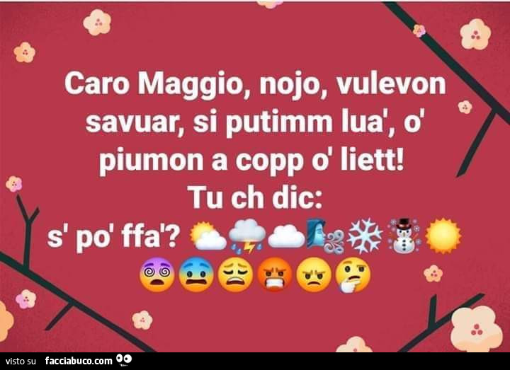 Caro maggio, nojo, vulevon savuar, si putimm luà, ò piumon a copp d liett! Tu ch dic: s' po' ffà?