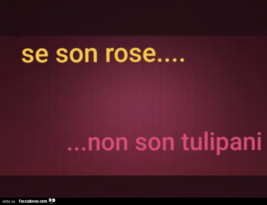 Se son rose… non son tulipani