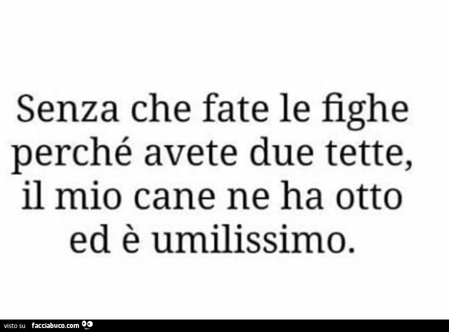 Senza che fate le fighe perché avete due tette, il mio cane ne ha otto ed è umilissimo