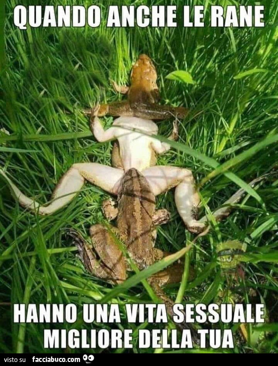 Quando anche le rane hanno una vita sessuale migliore della tua
