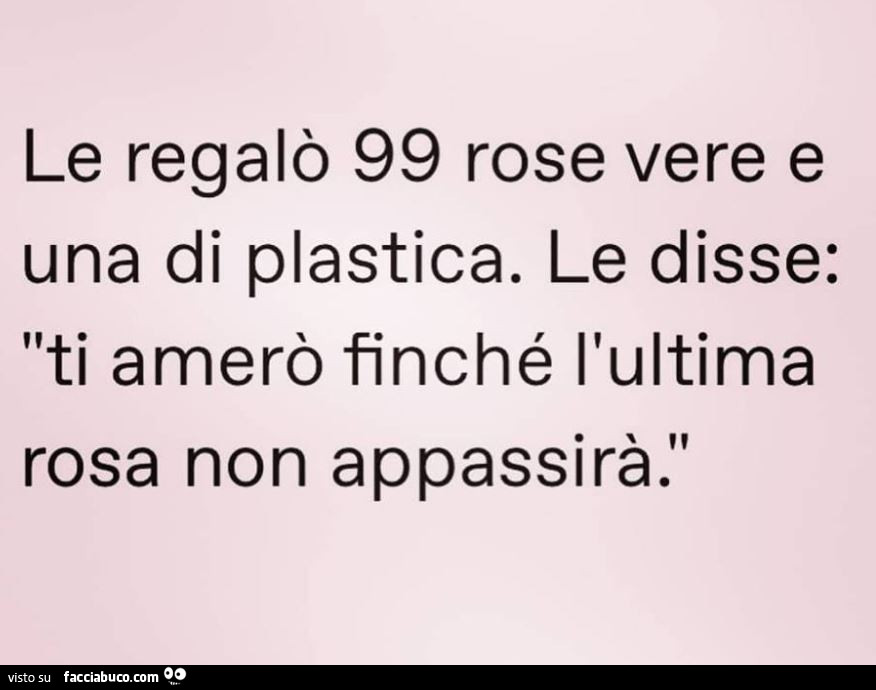 Le regalò 99 rose vere e una di plastica. Le disse: ti amerò finché l'ultima rosa non appassirà