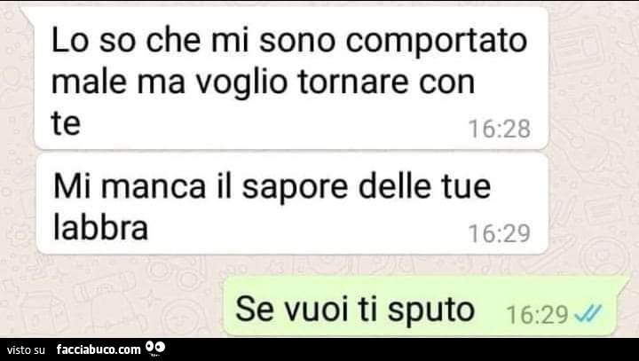 Lo so che mi sono comportato male ma voglio tornare con te, mi manca il sapore delle tue labbra. Se vuoi ti sputo