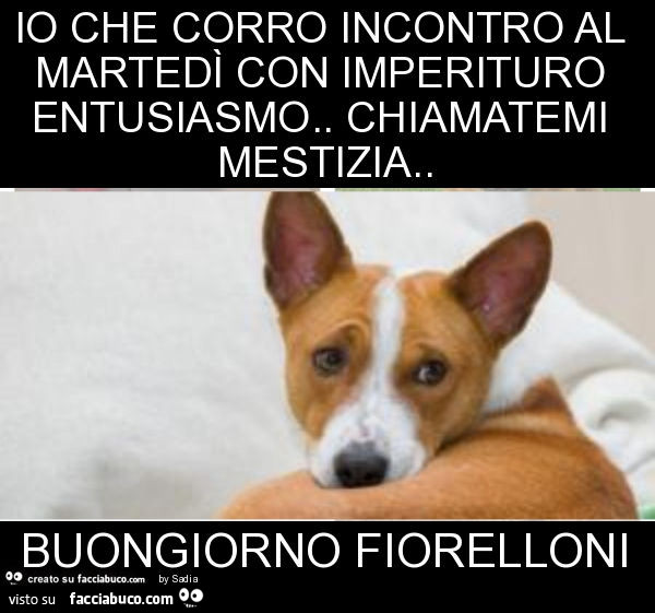 Io che corro incontro al martedì con imperituro entusiasmo. Chiamatemi mestizia. Buongiorno fiorelloni