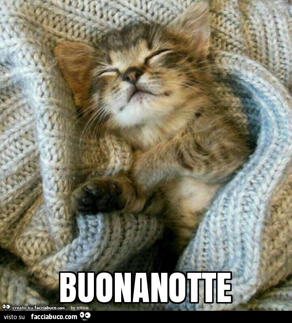 Buonanotte