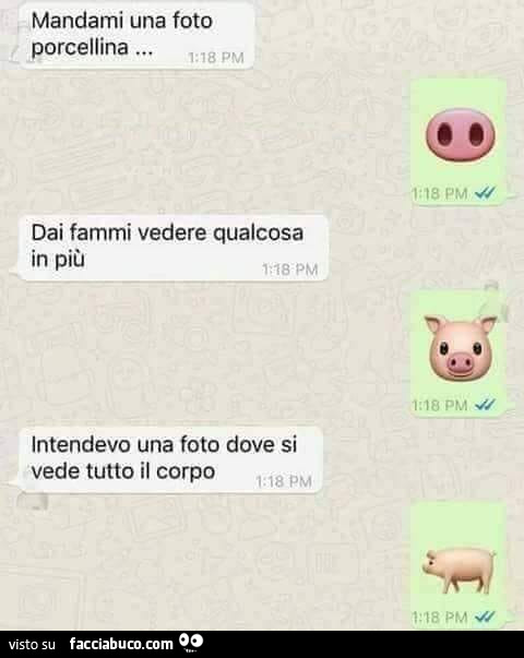 Mandami una foto porcellina. Dai fammi vedere qualcosa in più. Intendevo una foto dove si vede tutto il corpo