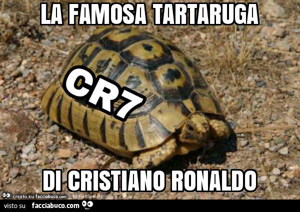 La famosa tartaruga di cristiano ronaldo