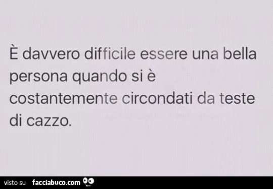 È davvero difficile essere una bella persona quando si è costantemente circondati da teste di cazzo