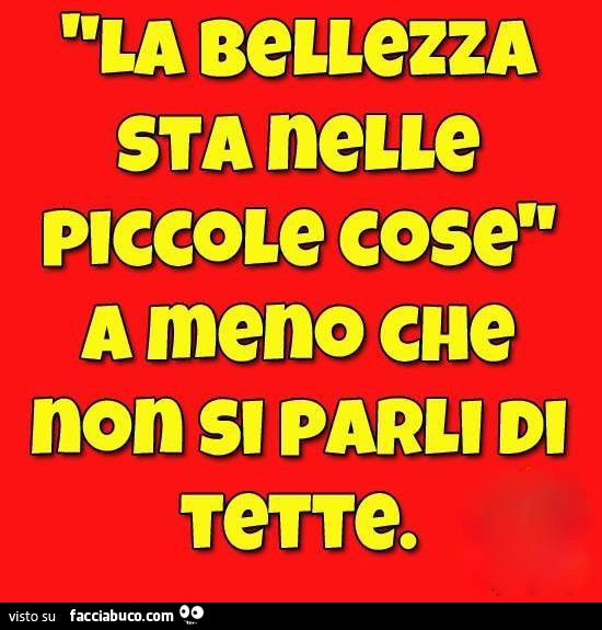 La bellezza sta nelle piccole cose a meno che non si parli di tette