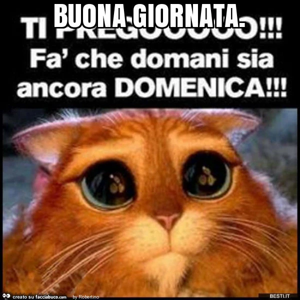 Buona giornata
