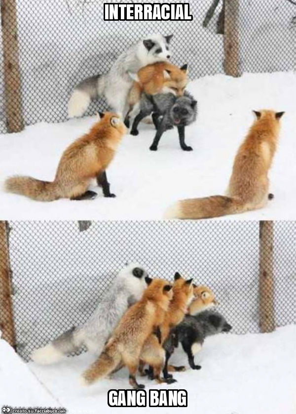 Interracial gang bang