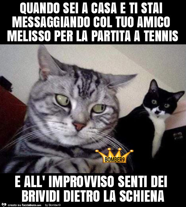Quando sei a casa e ti stai messaggiando col tuo amico melisso per la partita a tennis e all' improvviso senti dei brividi dietro la schiena