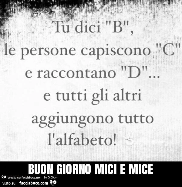 Buon giorno mici e mice