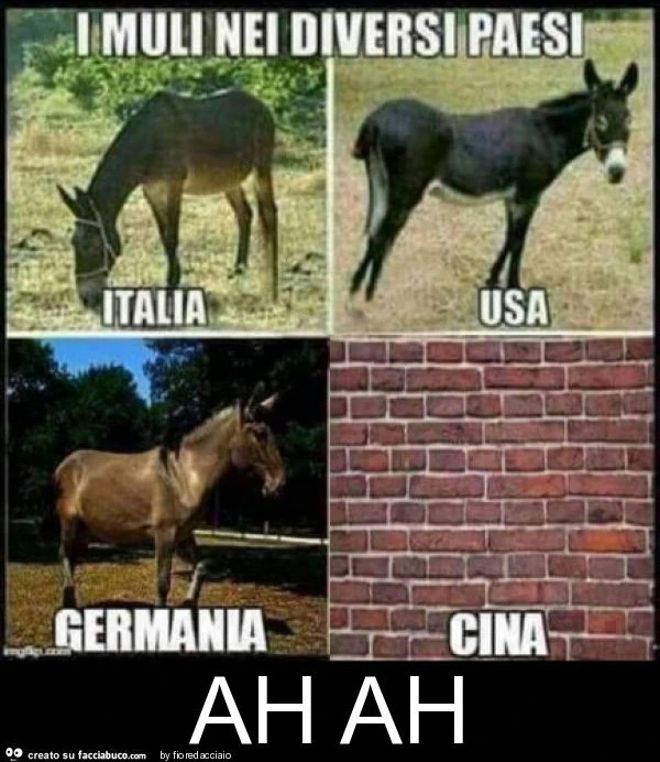 Ah ah