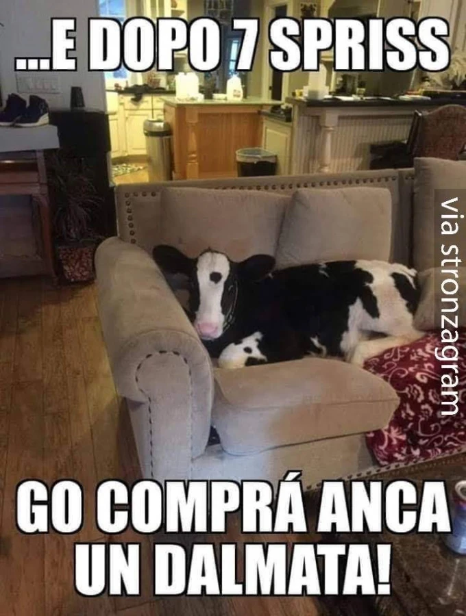 Vaccata