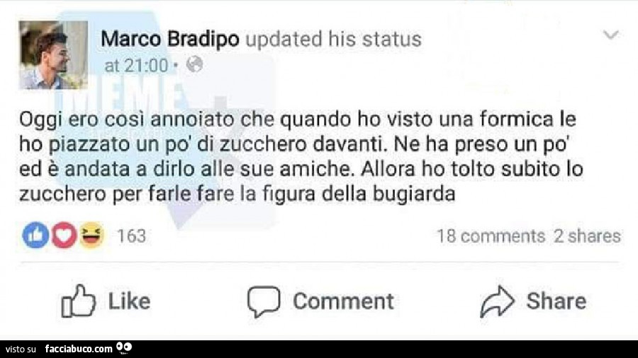 Oggi ero così annoiato che quando ho visto una formica le ho piazzato un po' di zucchero davanti. Ne ha preso un po' ed è andata a dirlo alle sue amiche. Allora ho tolto subito lo zucchero per farle fare la figura della bugiarda