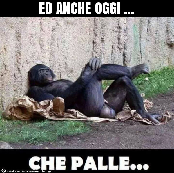 Ed anche oggi